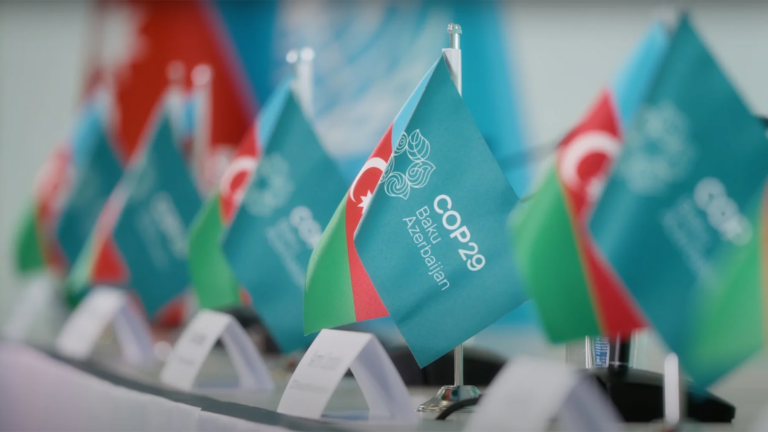 Coordenadora-geral de Adaptação à Mudança do Clima do Ministério do Meio Ambiente, Inamara Mélo avalia os resultados da COP29, realizada em Baku, no Azerbaijão.