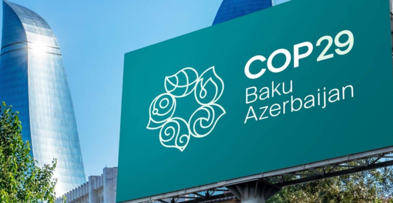 "O Brasil desempenhou um papel estratégico como mediador na COP29, reafirmando seu compromisso com a liderança climática", aponta Neide Freitas.