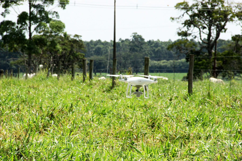 Veículos aéreos não tripulados (VANTs) em experimento do projeto Pecuária do Futuro, da Embrapa. Novos pastores? Câmeras com inteligência artificial, acopladas a drones, realizam a detecção e a contagem de gado no pasto. Foto: Graziella Galinari / Embrapa