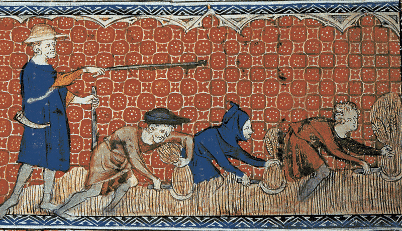 Homens colhem trigo com foices em uma cena do mês de agosto. Ilustração medieval do Saltério da Rainha Maria (fol. 78v), início do século XIV. Crédito: Autor anônimo (Mestre da Rainha Maria). Digitalização de 2009, disponibilizada por Ann Scott. Domínio público. Fonte: Wikimedia Commons