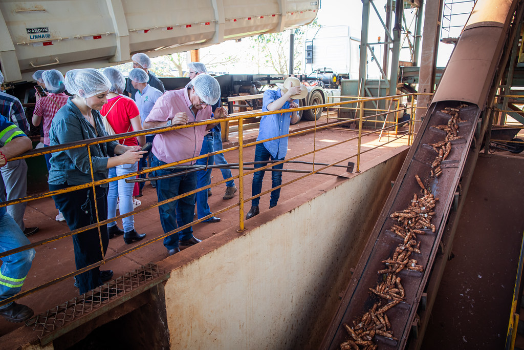 Indústria produtora de combustível renovável à base de milho em Dourados (MS), do grupo Inpasa. Foto: Wenderson Araujo/Trilux/CNA