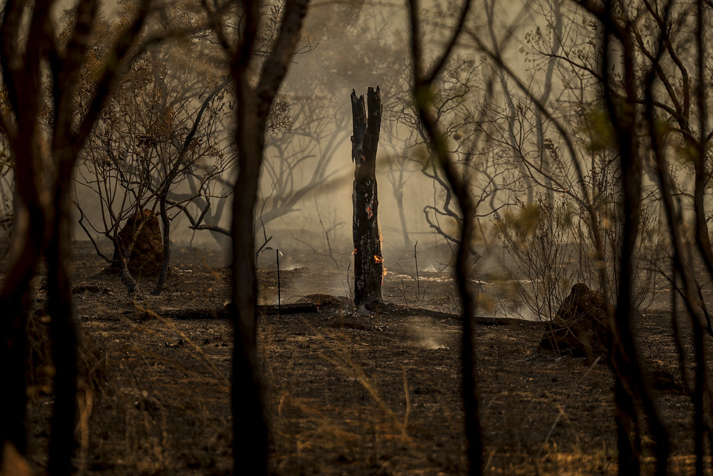 Brasília (DF), 24/08/2024 - Brigadistas do Instituto Brasília Ambiental e Bombeiros do Distrito Federal combatem incêndio em área de cerrado próxima ao aeroporto de Brasília. Foto: Marcelo Camargo/Agência Brasil