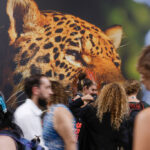 Belém (PA), 10/11/2025 - Pavilhões dos países e movimentação na Blue Zone da COP30. Foto: Tânia Rêgo/Agência Brasil