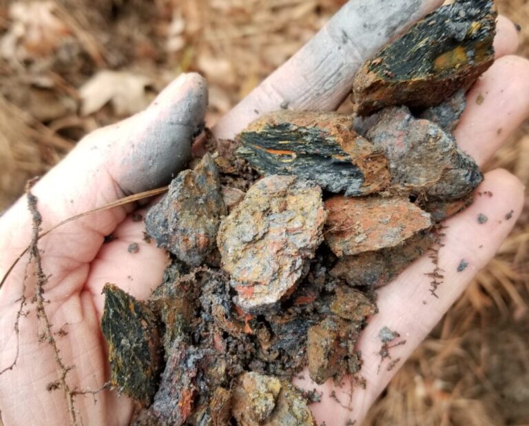 Xisto grafítico do terreno de Roanoke Rapids, no sudeste da Virgínia (EUA). A região, ainda pouco mapeada, pode abrigar depósitos economicamente relevantes desse mineral crítico. Crédito: Florence Bascom Geoscience Center / USGS – Domínio Público.